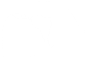 USML Helmet